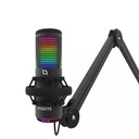 AQIRYS Microphone Double Condensateur USB GALILEO 