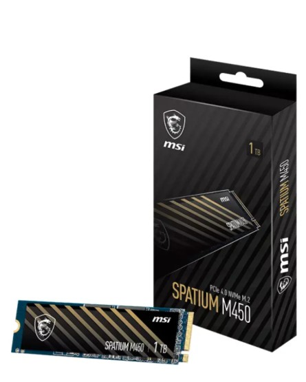 Disque dur interne SSD Spatium M450 PCIe 4.0 NVMe M.2 - 1To 
